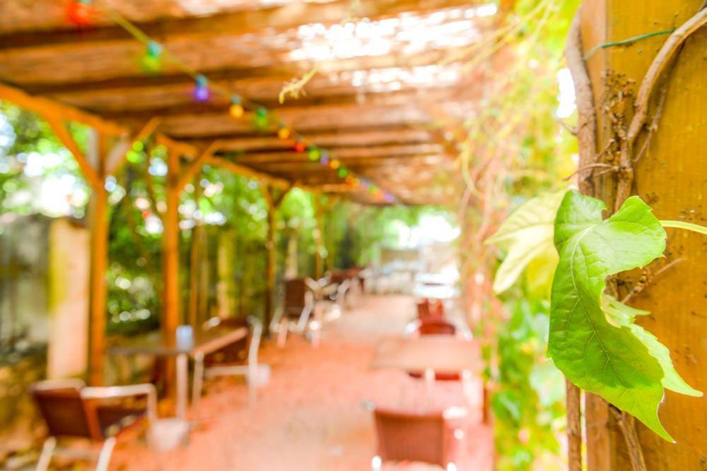 Atipyc Hotel Marssac-sur-Tarn المظهر الخارجي الصورة